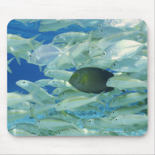 Yellow surgeon fish with yellow stripe goldfish mouse pad