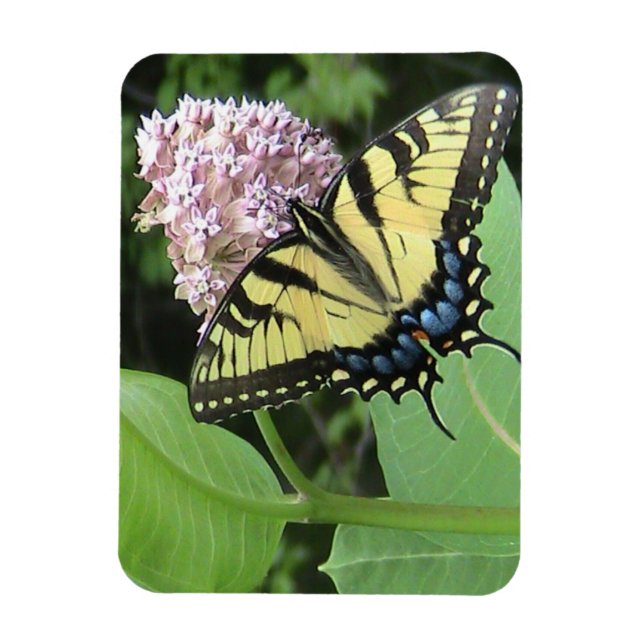 Yellow Swallowtail butterfly Flexi Magnet (Vertical)