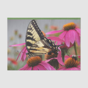 Yellow Swallowtail Butterfly on Echinacea Tissue Paper