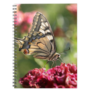 Yellow Swallowtail Butterfly Photo Notebook