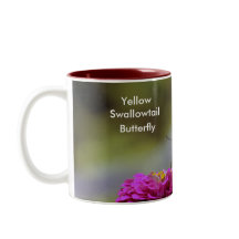 Yellow Swallowtail, Butterfly