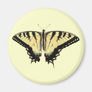 Yellow Swallowtail ~ magnet