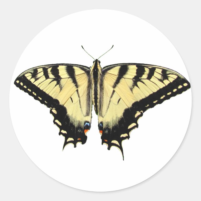 Yellow Swallowtail ~ sticker (Front)