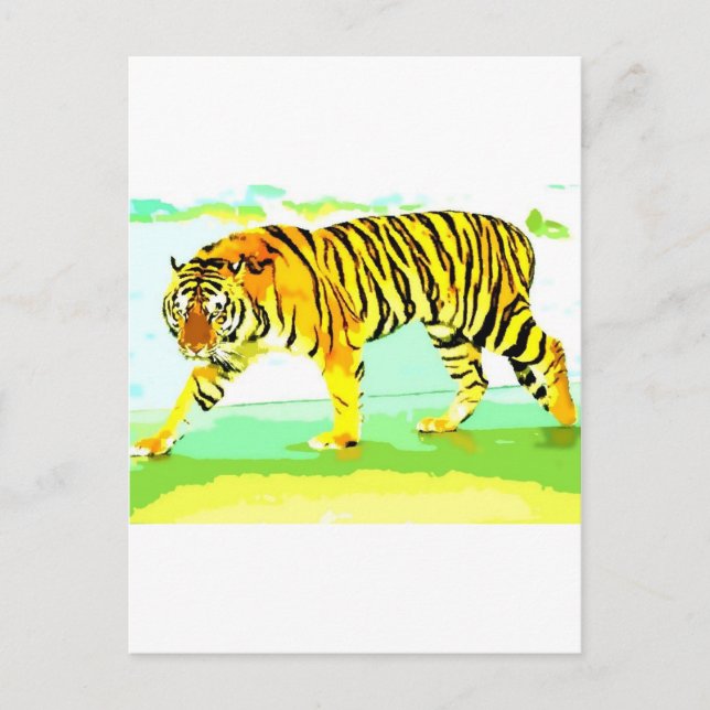 Yellow Tiger Postcard (Front)