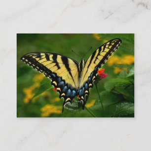 Yellow Tiger Swallowtail Butterfly ATC Card