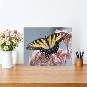 Yellow Tiger Swallowtail Butterfly on Pink Flower Photo Print