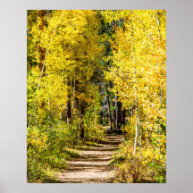 Yellow Tree Road // Hiking in Autumn
