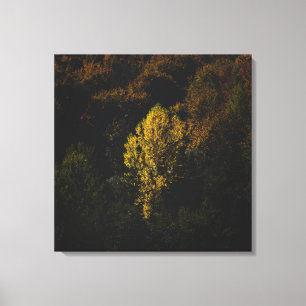 Yellow tree standing out from the crowd canvas print