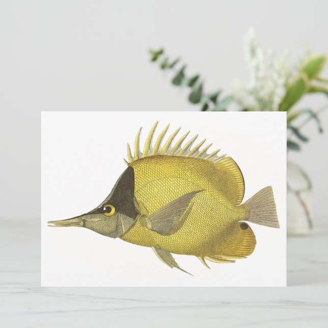 Yellow Tropical Chelmon Longirostris, Vintage Fish (Standing Front)
