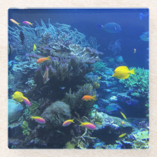 Yellow Tropical Fish Glass Coaster