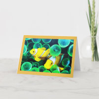 Yellow tropical fish in Madeira
