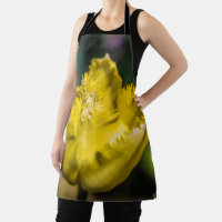 Yellow Tulip