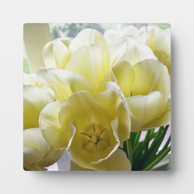 Yellow Tulip Bouquet Plaque (Front)