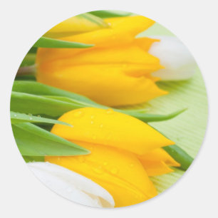 Yellow tulip classic round sticker