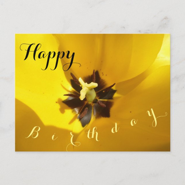 Yellow Tulip Close Up Happy Birthday Postcard (Front)