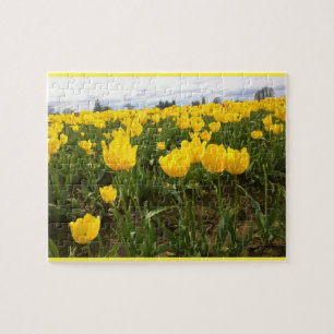 Yellow Tulip Field, Oregon Jigsaw Puzzle