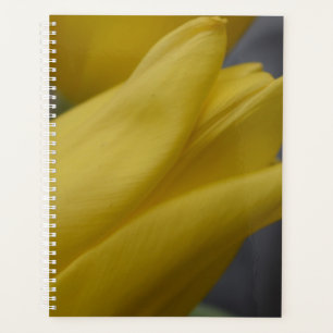Yellow Tulip Floral Planner – Flower Photography