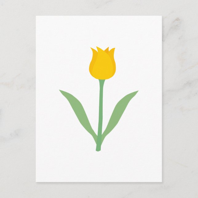 Yellow Tulip Flower. Postcard (Front)