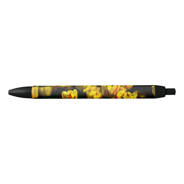 Yellow tulip flowers black ink pen (Front)