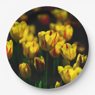 Yellow tulip flowers paper plate