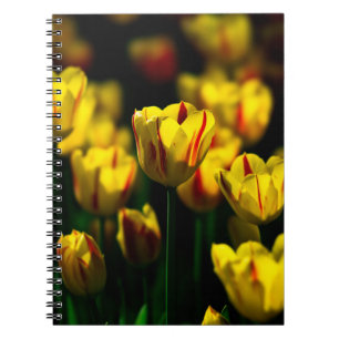 Yellow tulip flowers spiral notebook