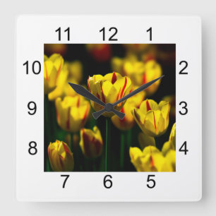 Yellow tulip flowers square wall clock