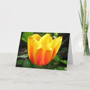 Yellow Tulip Greeting Card