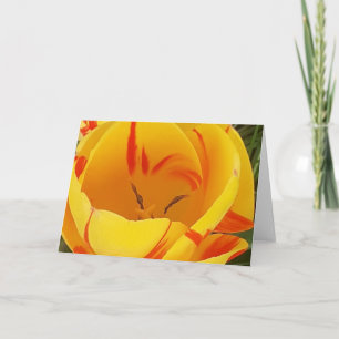 Yellow Tulip Greeting Card