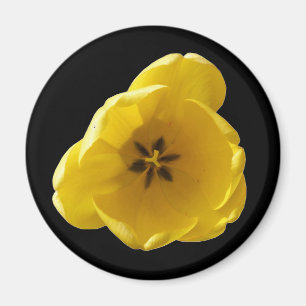 Yellow Tulip Magnet