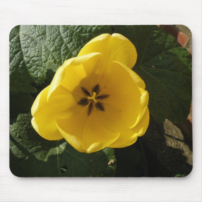 Yellow Tulip Mousepad (Front)
