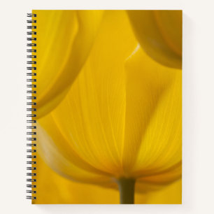 Yellow Tulip Notebook