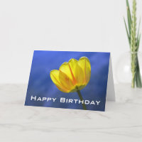 Yellow Tulip Spring Happy Birthday Greeting Card