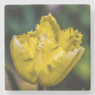 Yellow Tulip Stone Coaster