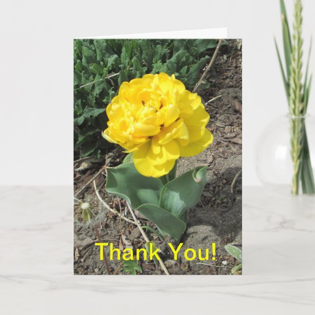 Yellow Tulip Thank You Card (Front)