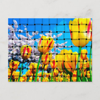 Yellow Tulip Weave Postcard
