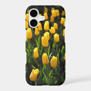 Yellow Tulips