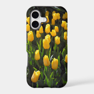 Yellow Tulips