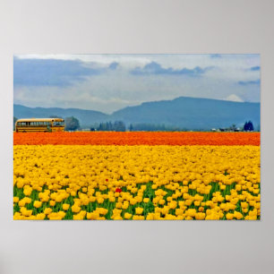 Yellow Tulips and School Bus Poster