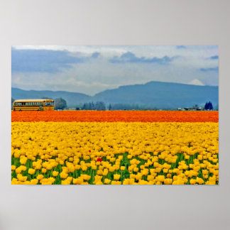 Yellow Tulips and School Bus Poster