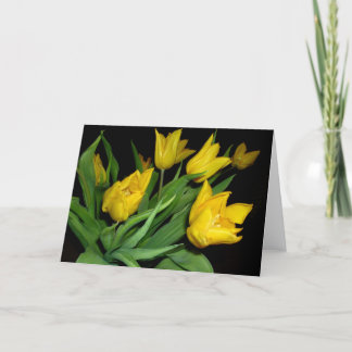 Yellow Tulips Card