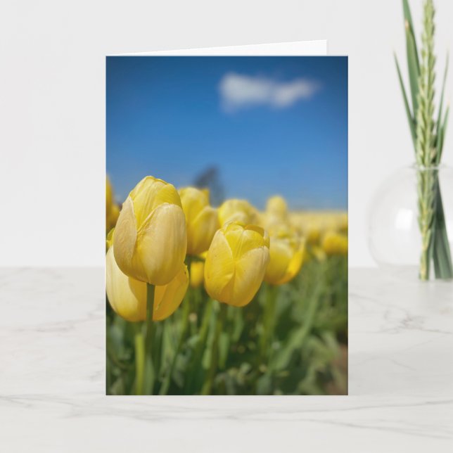 Yellow Tulips card (Front)