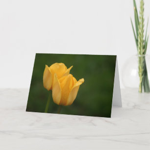 Yellow Tulips Card