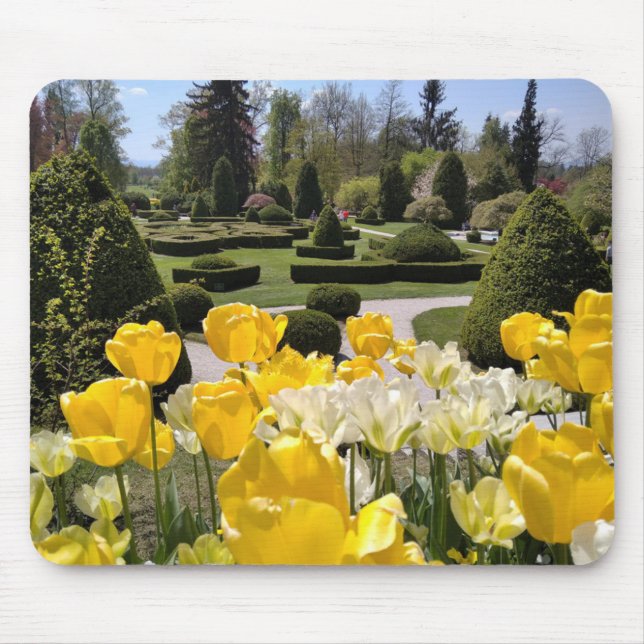 Yellow Tulips from Arboretum Volcji Potok Slovenia Mouse Pad (Front)