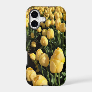 Yellow Tulips in a Field, Oregon