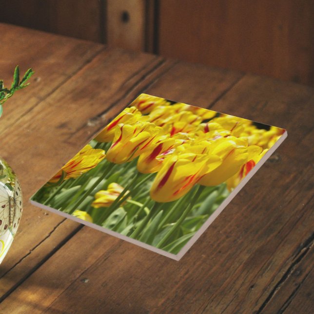 Yellow Tulips with Red Stripes Floral Tile (In Situ)