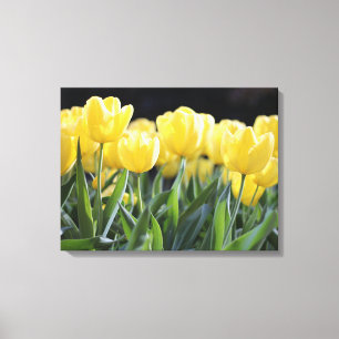 Yellow Tulips Wrapped Canvas Art Print