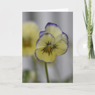Yellow & Violet Pansy Photo – Vintage Cottagecore Card