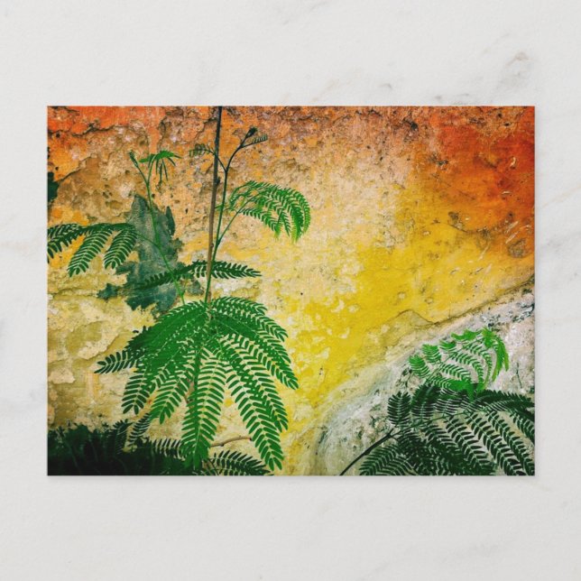 Yellow wall with plant postcard (Front)