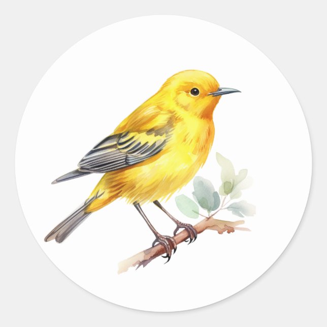 Yellow Warbler Bird Stickers (Front)