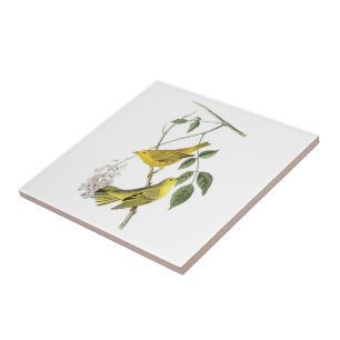 Yellow Warbler by Audubon Tile